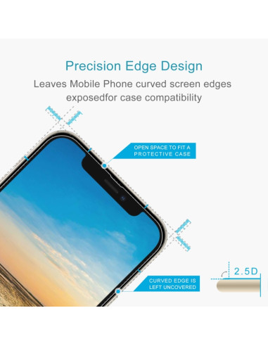 Vetro Temperato iPhone 13 9H 10 Pezzi | Melacompro