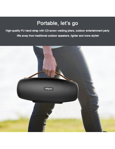 Speaker Bluetooth Zealot S27 Nero | Melacompro