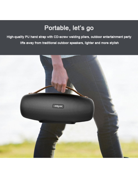 Speaker Bluetooth Zealot S27 Nero | Melacompro
